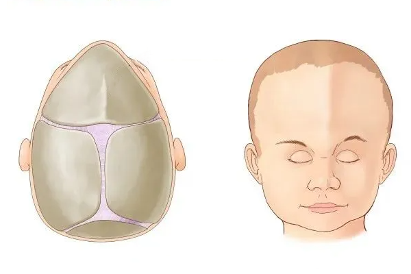 生男生女顺口溜