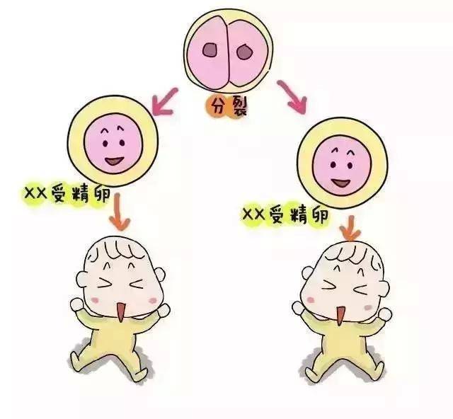 生孩子直拍宫口