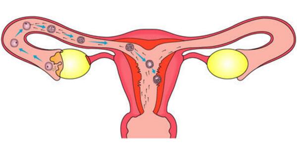 生孩子近距离全曝光