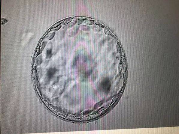 生孩子自己亲妈都不愿意照顾