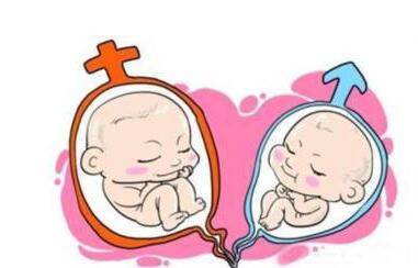 着床几天能测出胎心胎芽