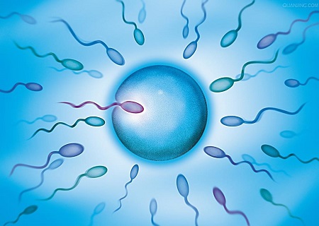 真妮早早孕试纸