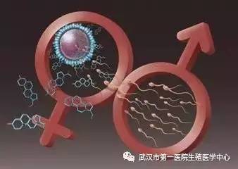 徐州试管婴儿