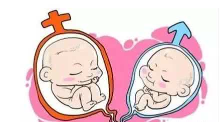 深圳试管婴儿技术