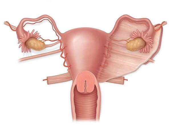 深圳试管婴儿技术